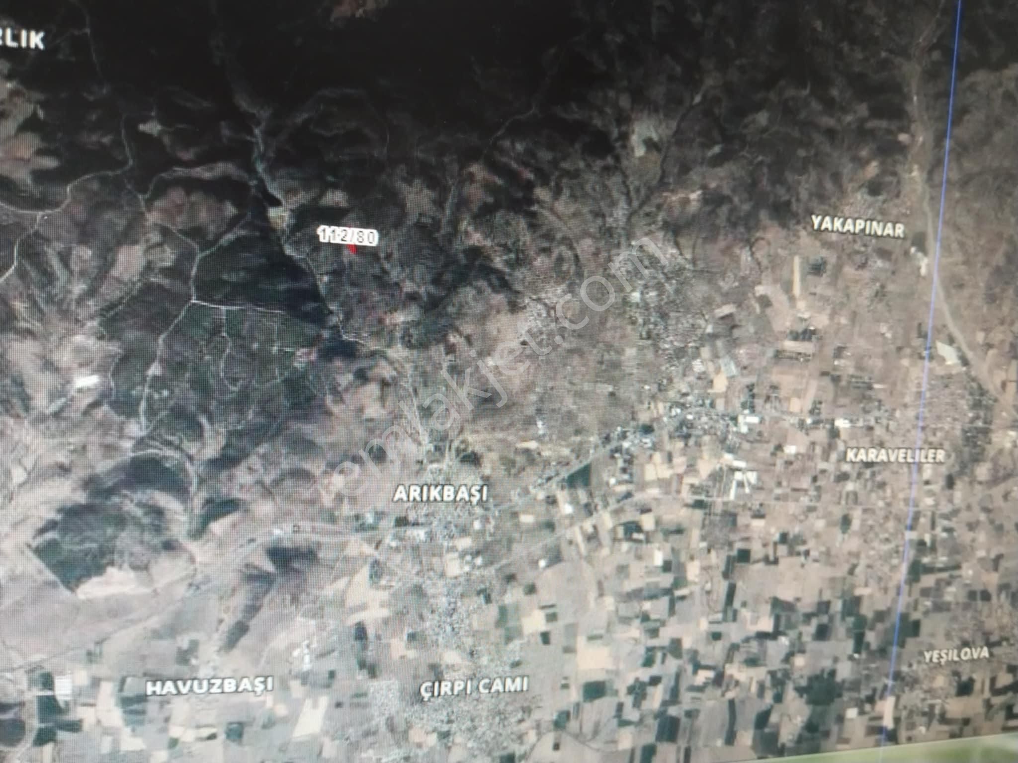İzmir Bayındır Arık Başında 8700 M2 Zeytinlik