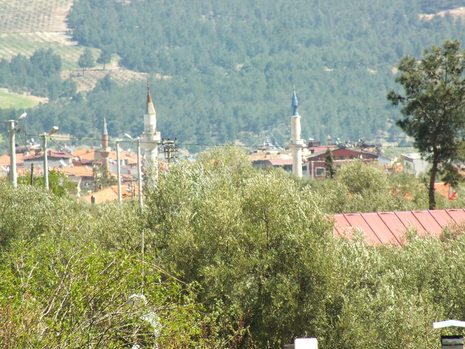 627 Karacasu Kahvederesi Yolu Üzerinde Satılık Müstakil Yazlık - Görsel 31