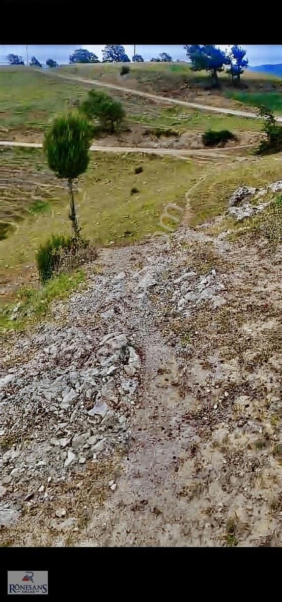Rönesans Emlaktan Satılık