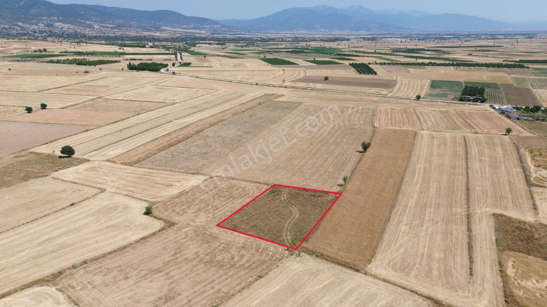 Antalya Korkuteli Yeltende Araç Takasına Açık 1.615 M2 Tarla - Görsel 11