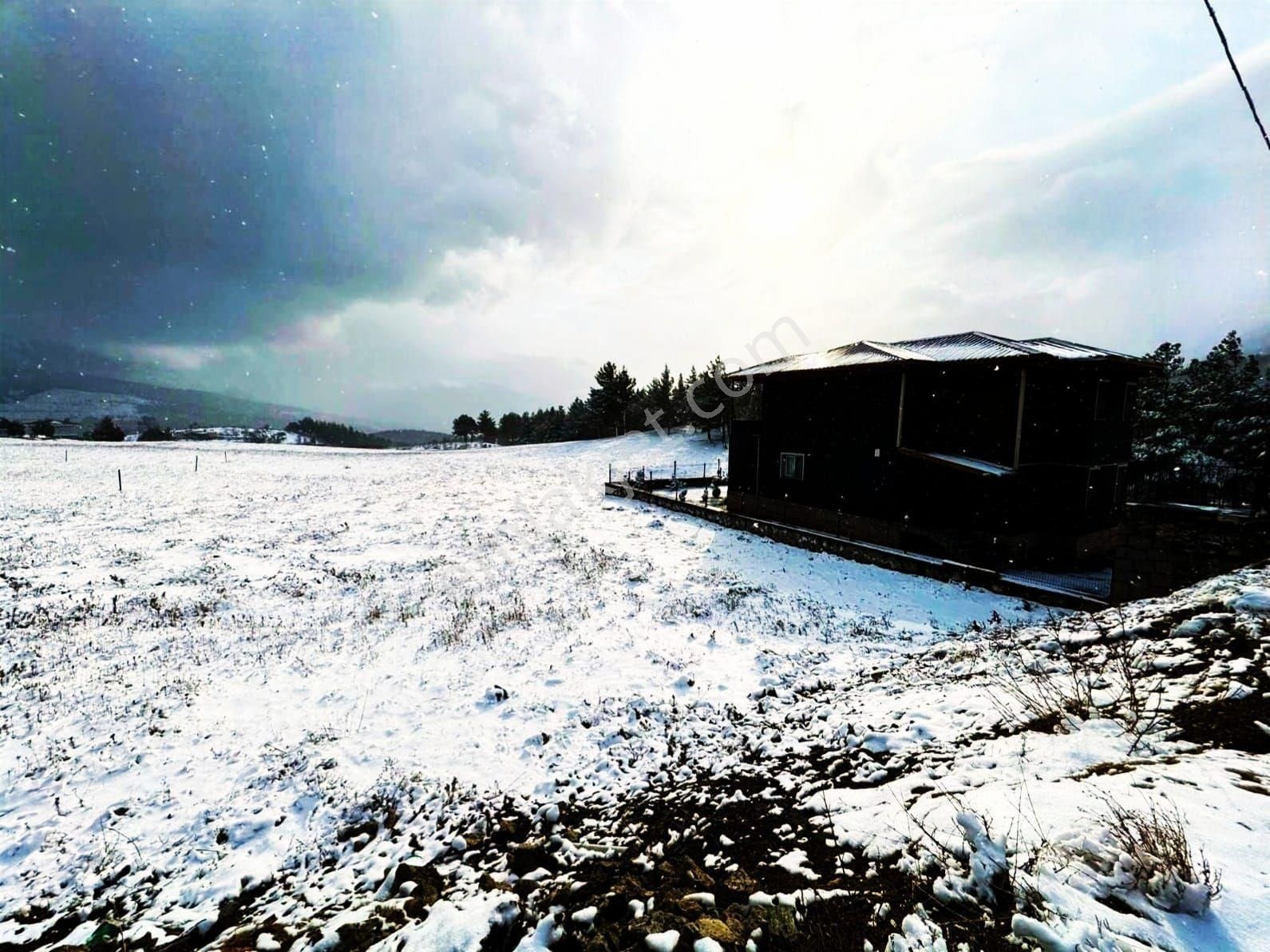 Pozantı Alpu Yaylasında Satılık Arsa - Görsel 6