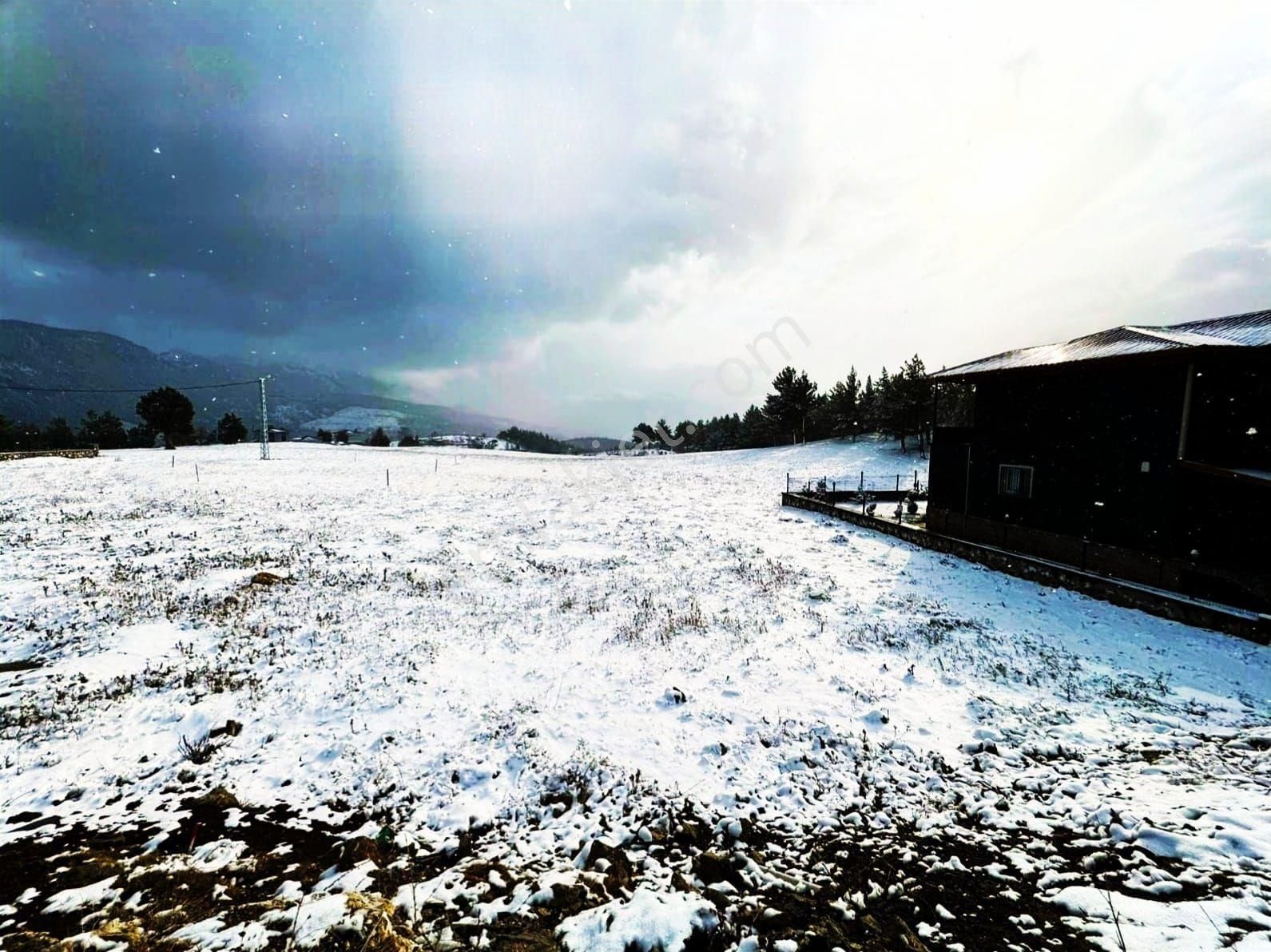 Pozantı Alpu Yaylasında Satılık Arsa - Görsel 7