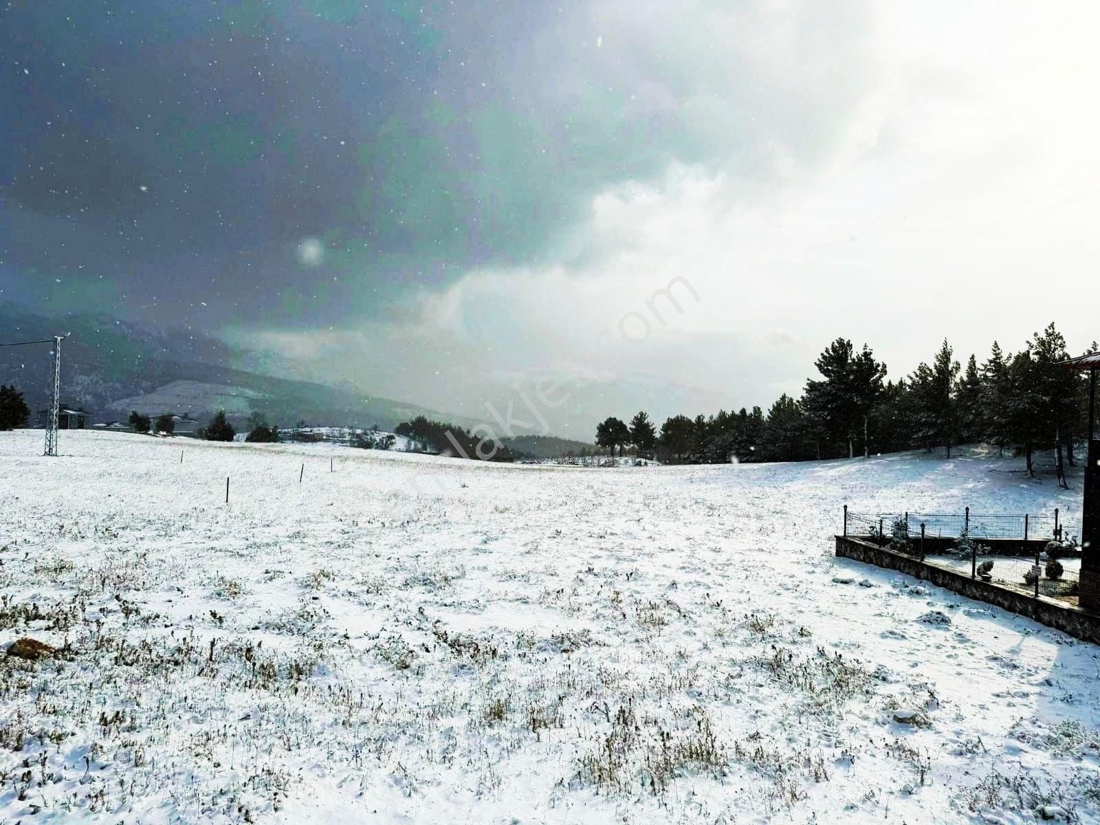 Pozantı Alpu Yaylasında Satılık Arsa