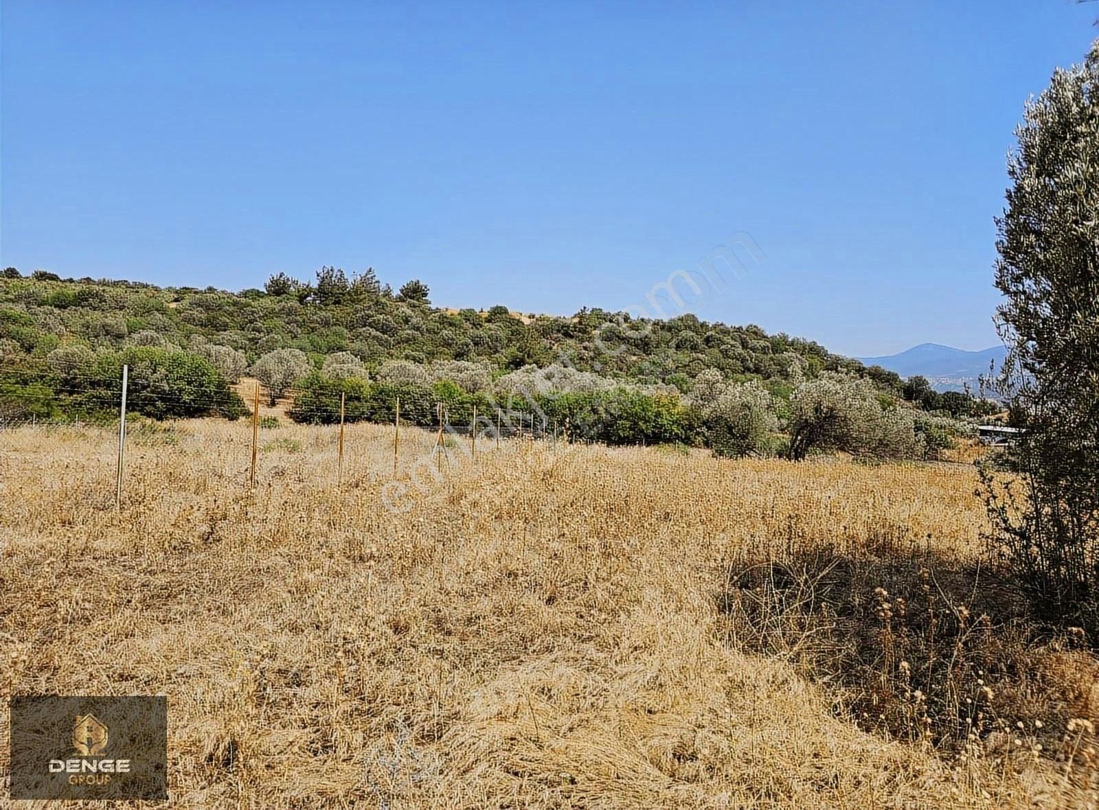 3500m2 Köy Çivarı Zeytinli Tarla - Görsel 7