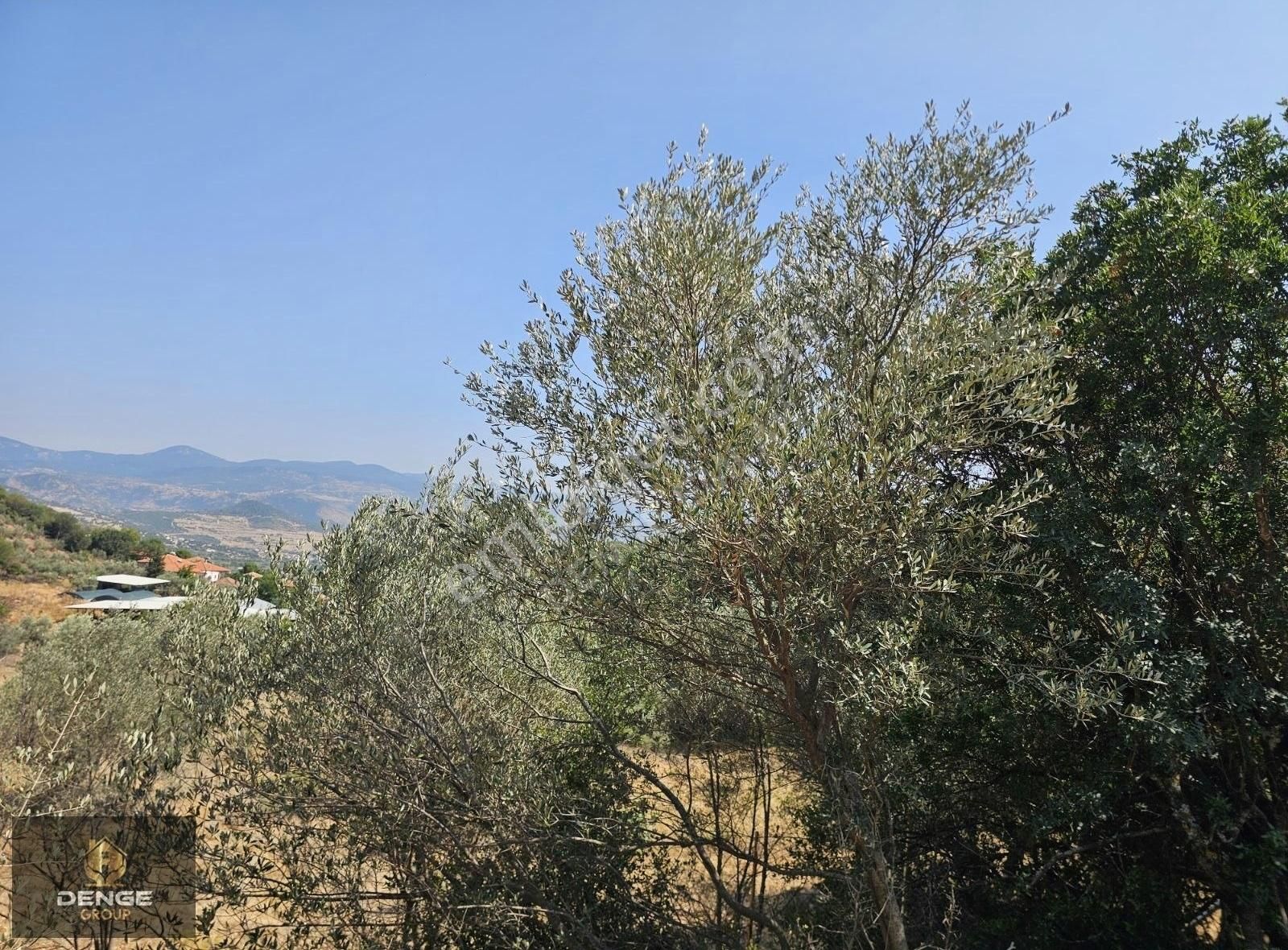 3500m2 Köy Çivarı Zeytinli Tarla - Görsel 15