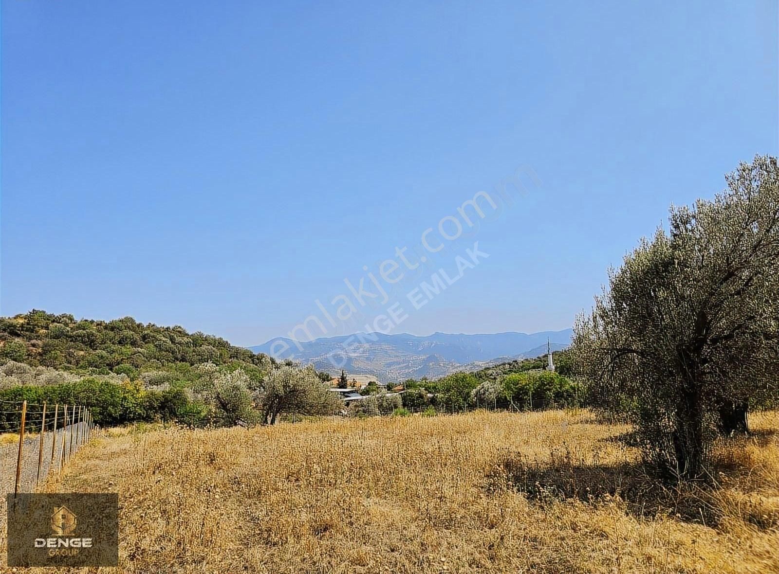 3500m2 Köy Çivarı Zeytinli Tarla - Görsel 5