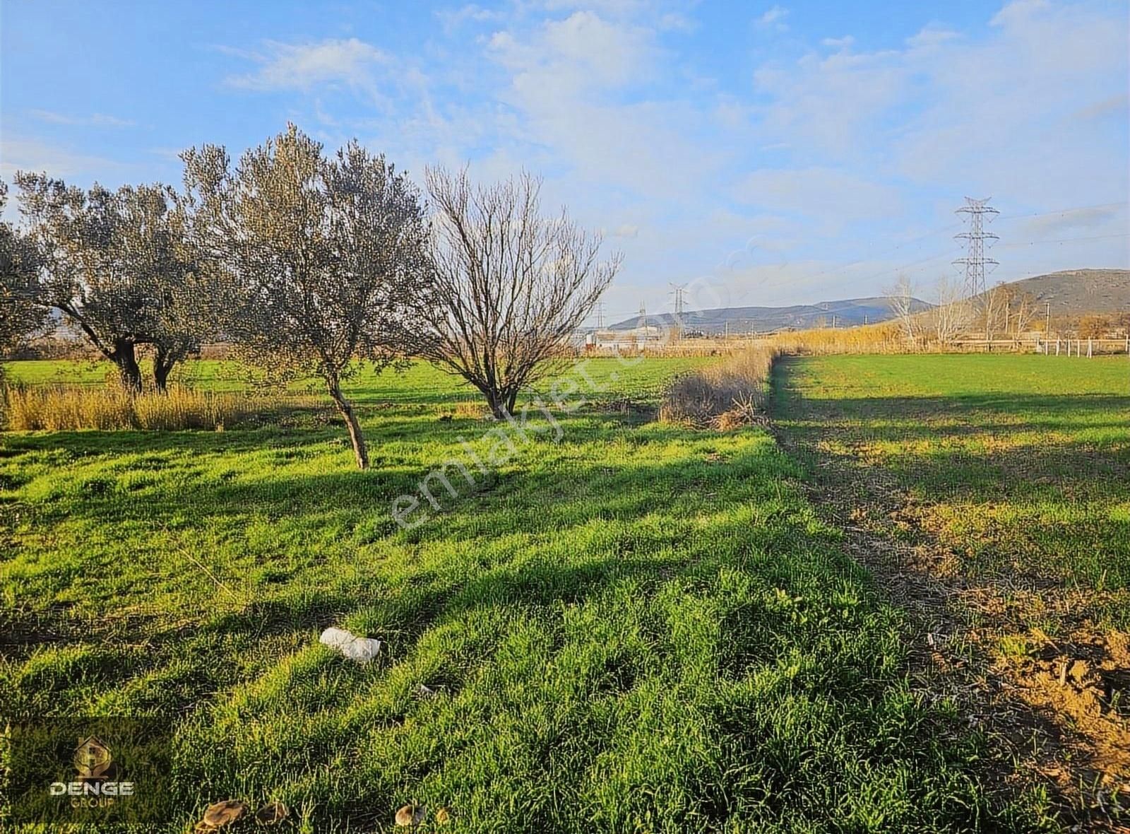 Aliağa Helvacıda Köy Girişinde 170m2 Bahçe - Görsel 7