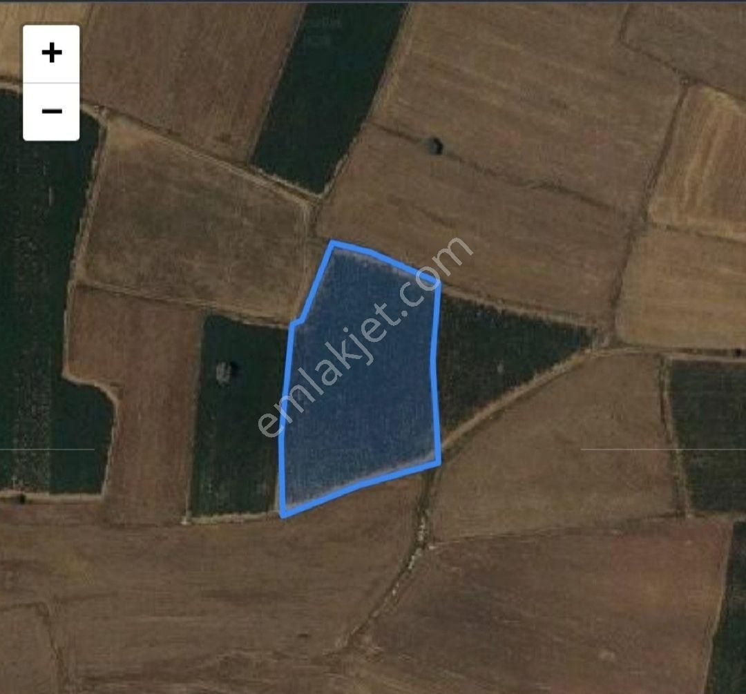 Dayıoluk Köyünden 7917m2 Tarla
