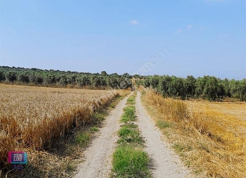 Dialog Skala Dan Karacabey İsmetpaşa Da Satılık Tarla - Görsel 4