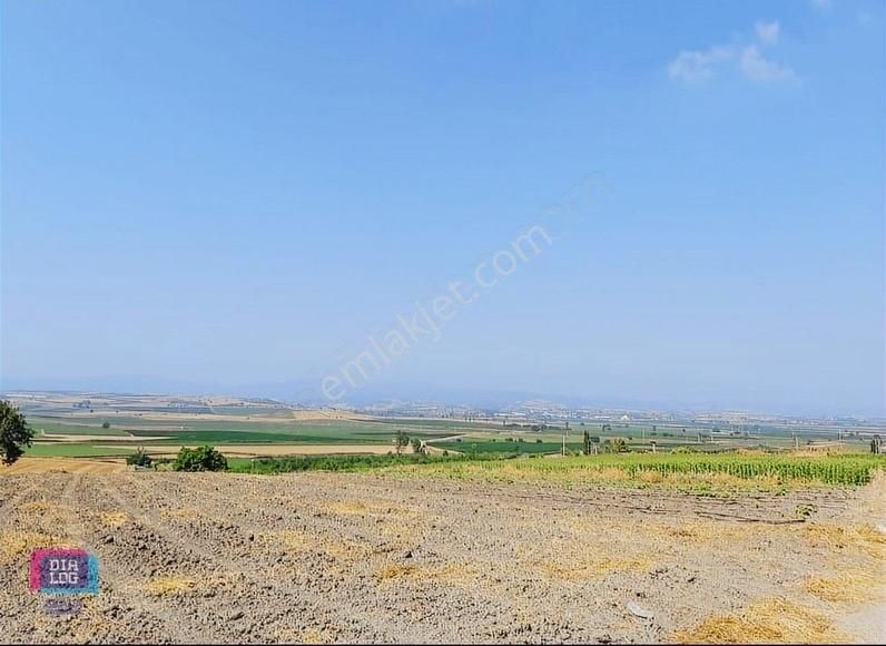 Dialog Skala Dan Karacabey İsmetpaşa Da Satılık Tarla - Görsel 8