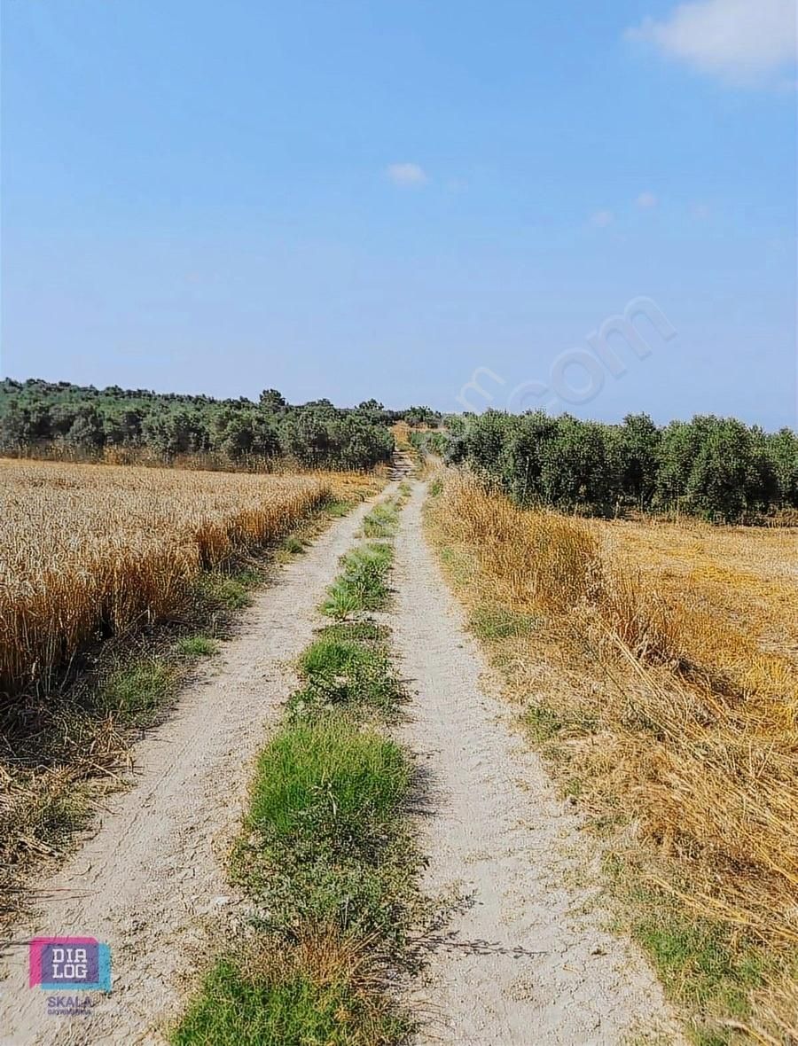 Dialog Skala Dan Karacabey İsmetpaşa Da Satılık Tarla - Görsel 2