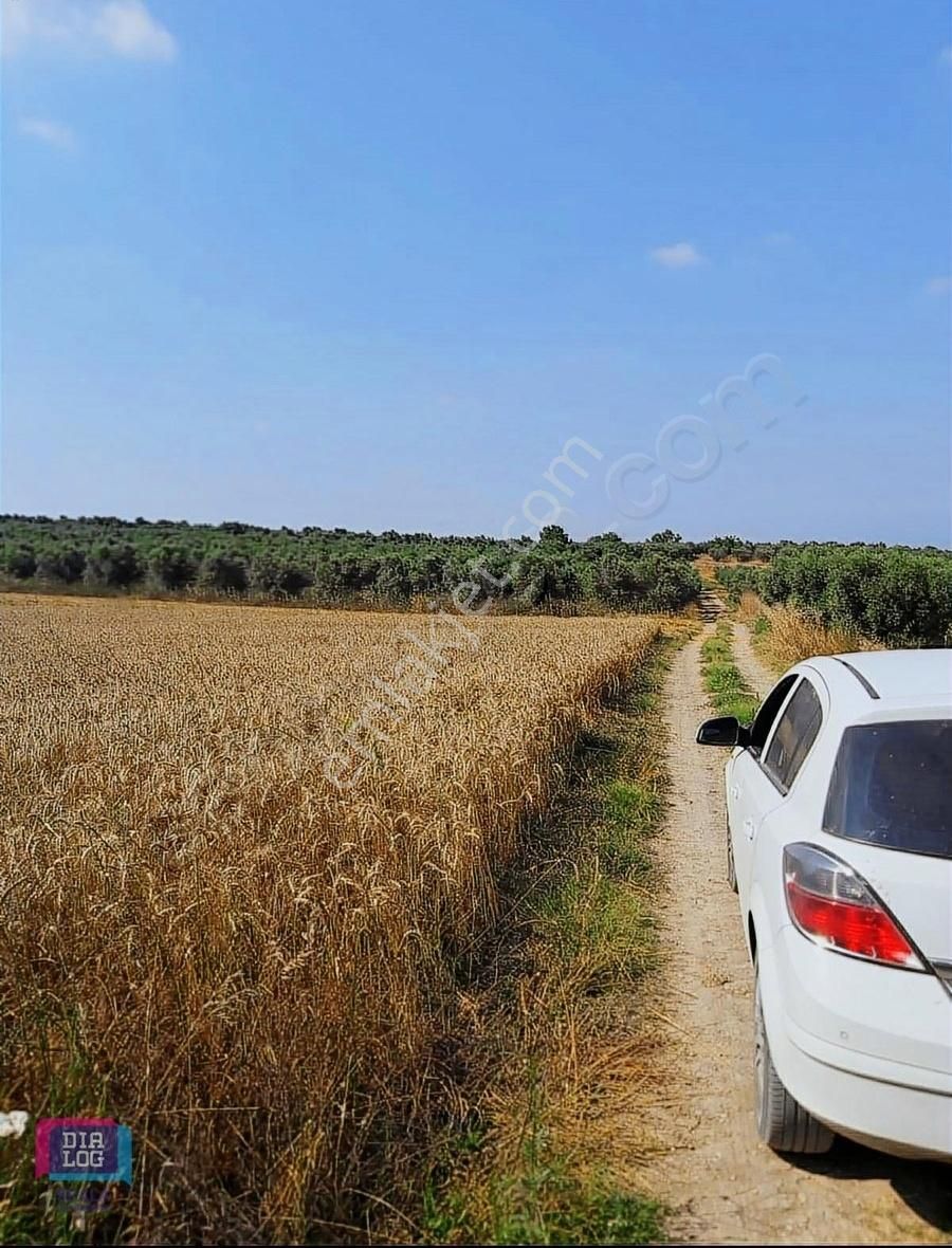 Dialog Skala Dan Karacabey İsmetpaşa Da Satılık Tarla - Görsel 9