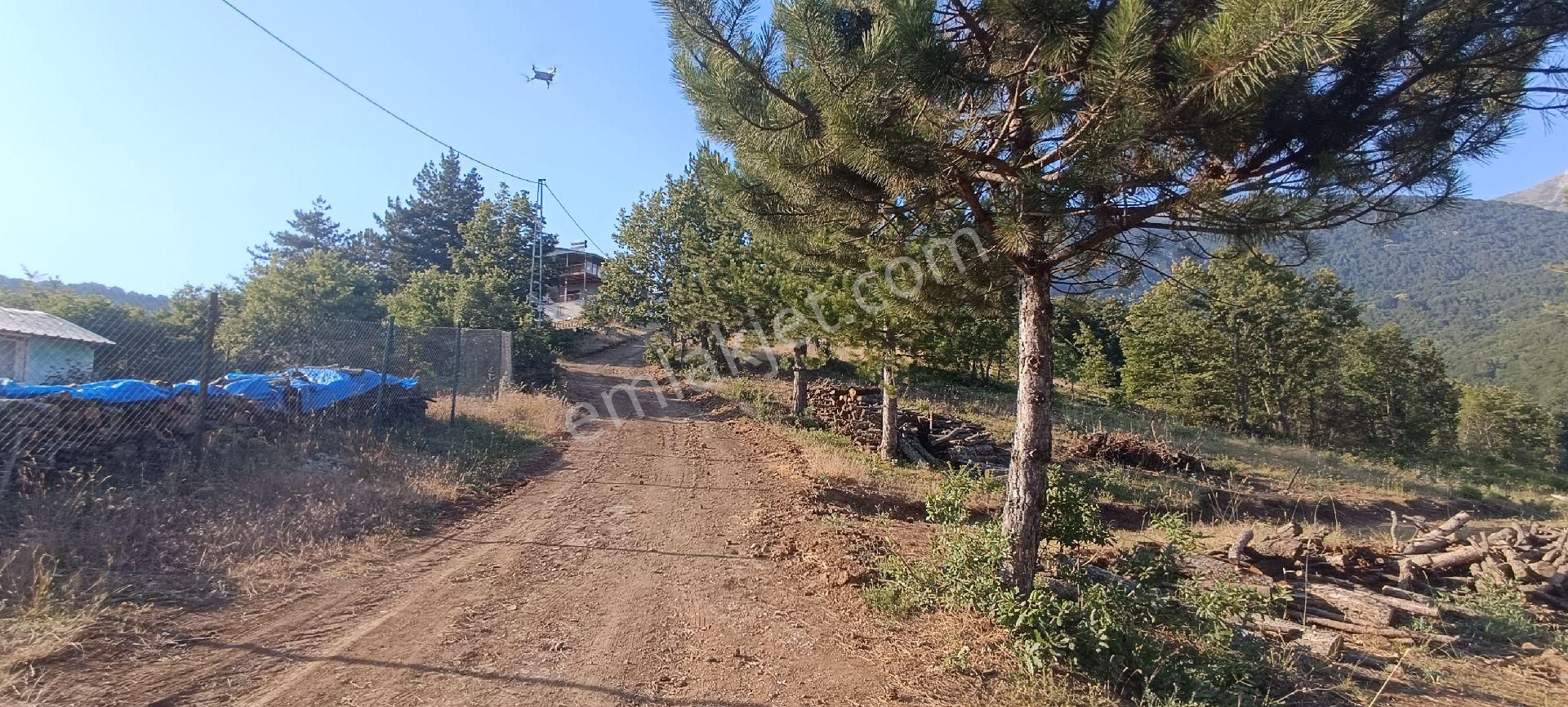 Yng Altın Bursa Osmangazi Soğukpınar Satılık Tarla