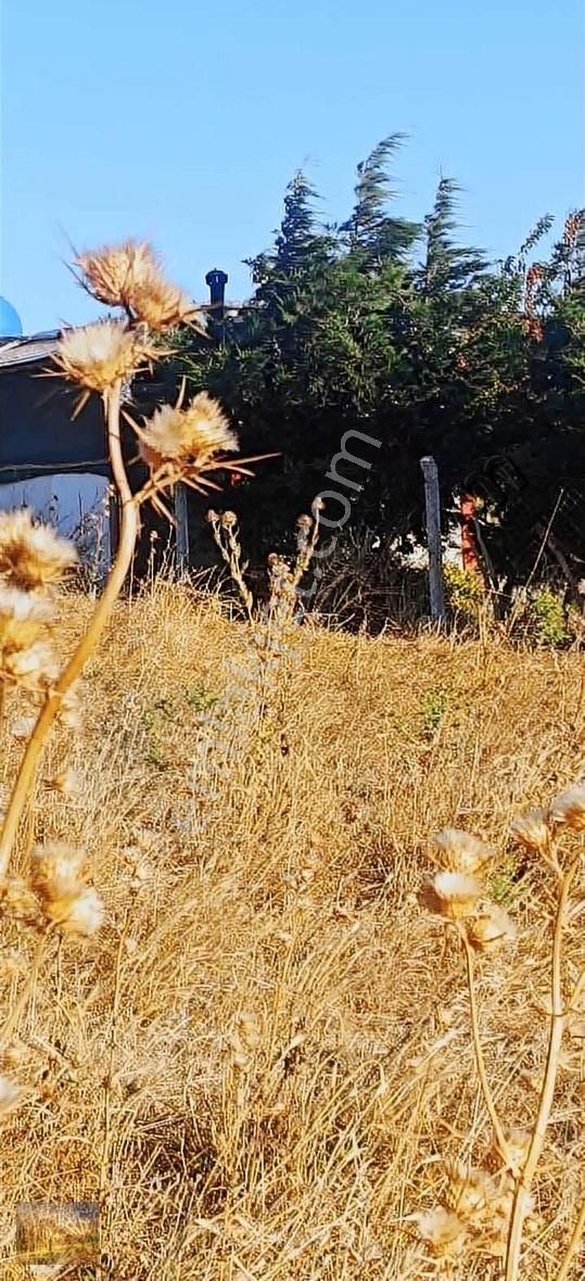 İstanbul Silivri Değirmenköy Sahibinden Satılık Arsa - Görsel 4