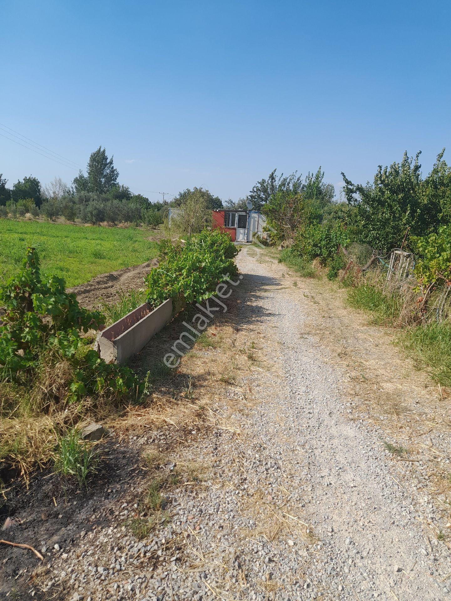 Satılık Tarla
