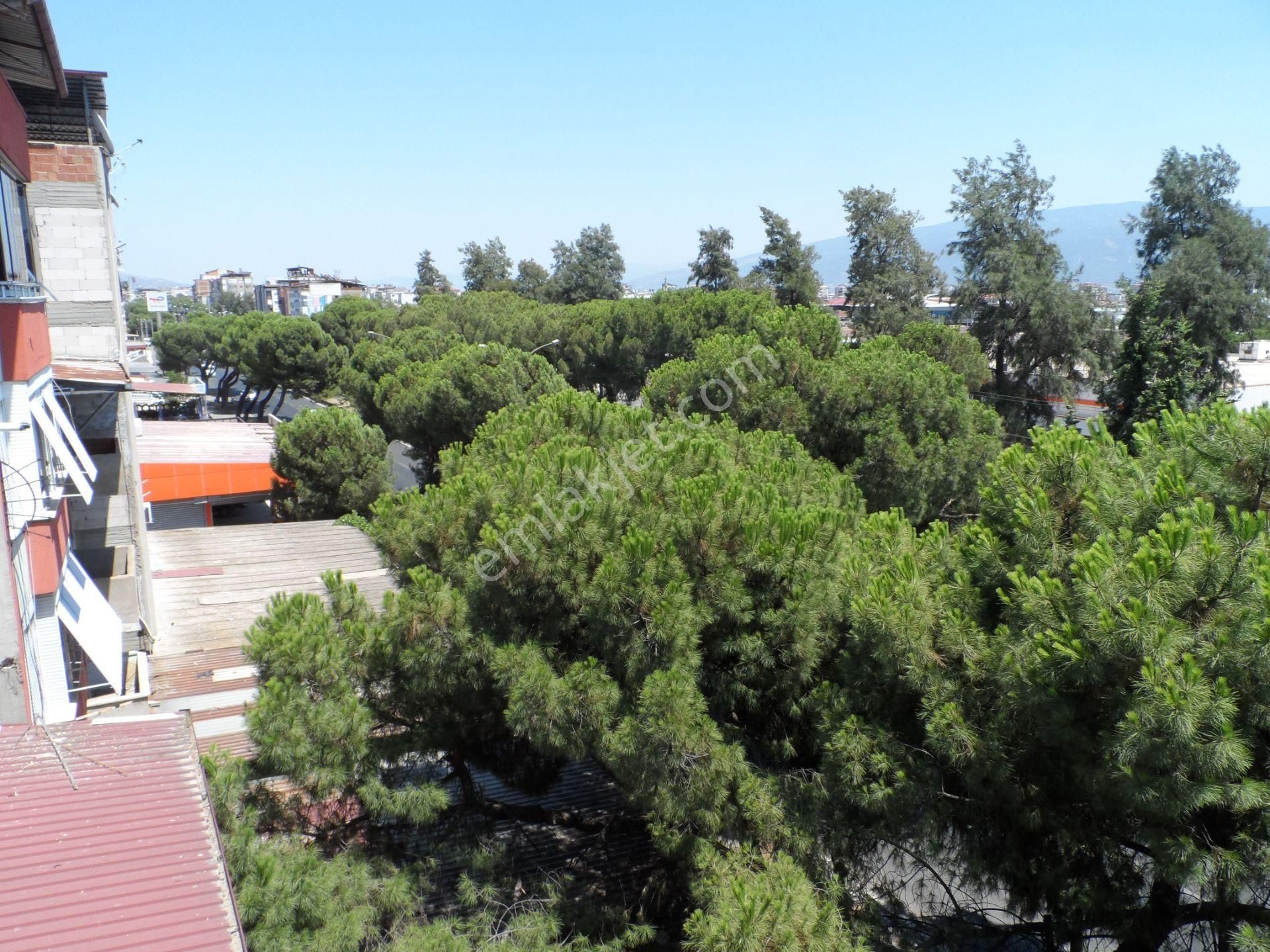 Nazilli Ege Emlak Ofisinden Yeni Mh. Asansörlü, Doğalgaz Kombili Kiralık Daire - Görsel 3