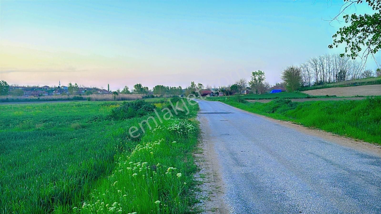 Kırklareli Pehlivanköy Ana Asfalt Cephe 1900 M2 İçinde Evi Olan Arazi