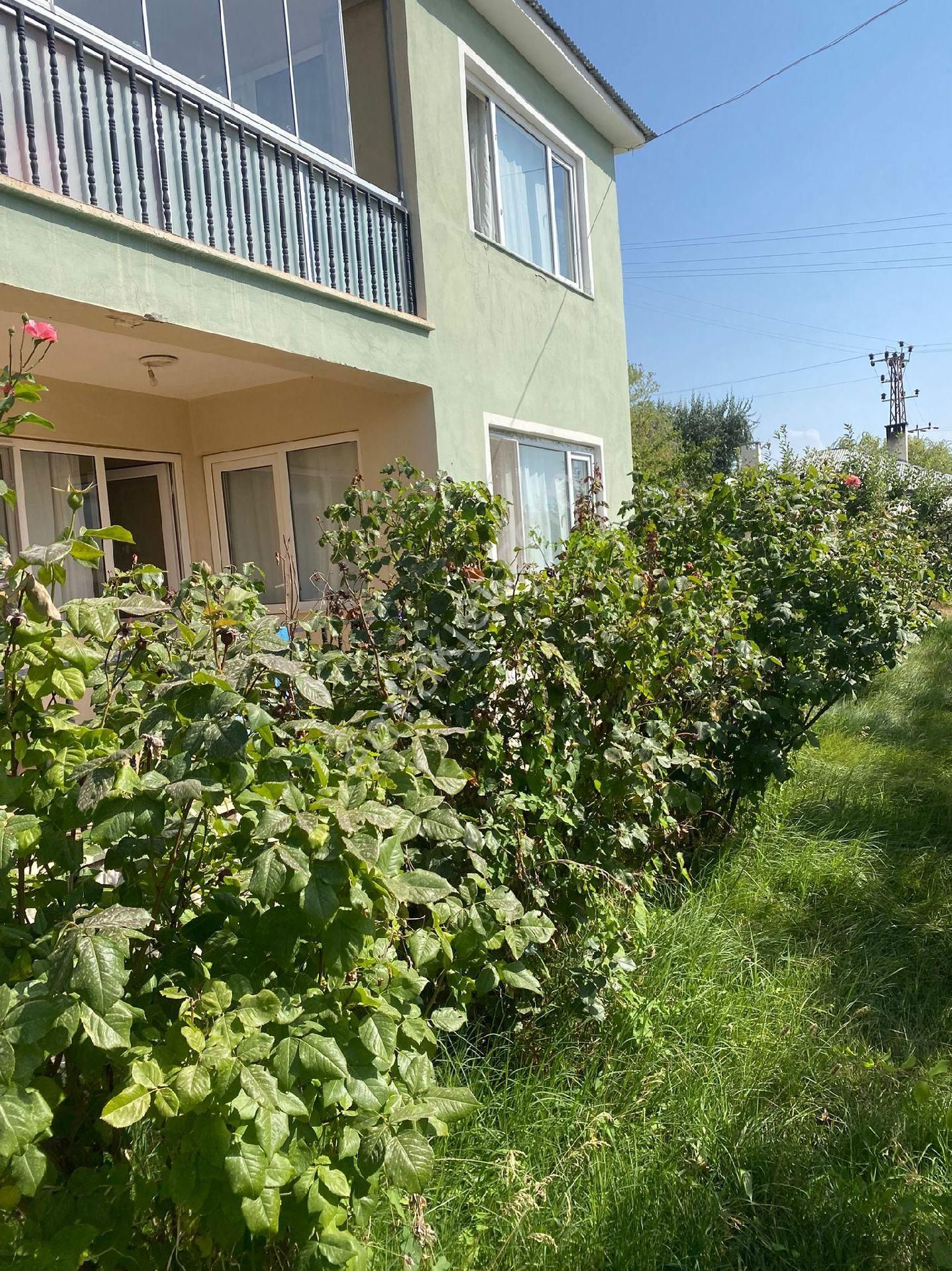 Mollakasimda Satilik Yazlık