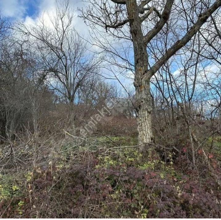 İznik Osmaniye De Konut İmarlı Arsa - Görsel 7