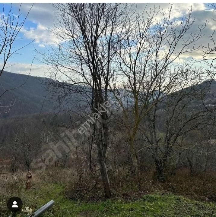 İznik Osmaniye De Konut İmarlı Arsa - Görsel 4