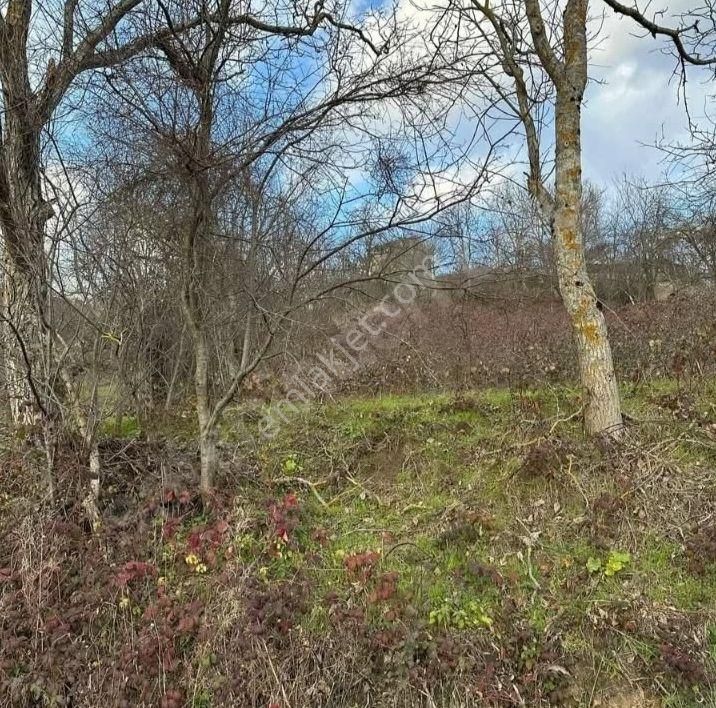 İznik Osmaniye De Konut İmarlı Arsa - Görsel 2