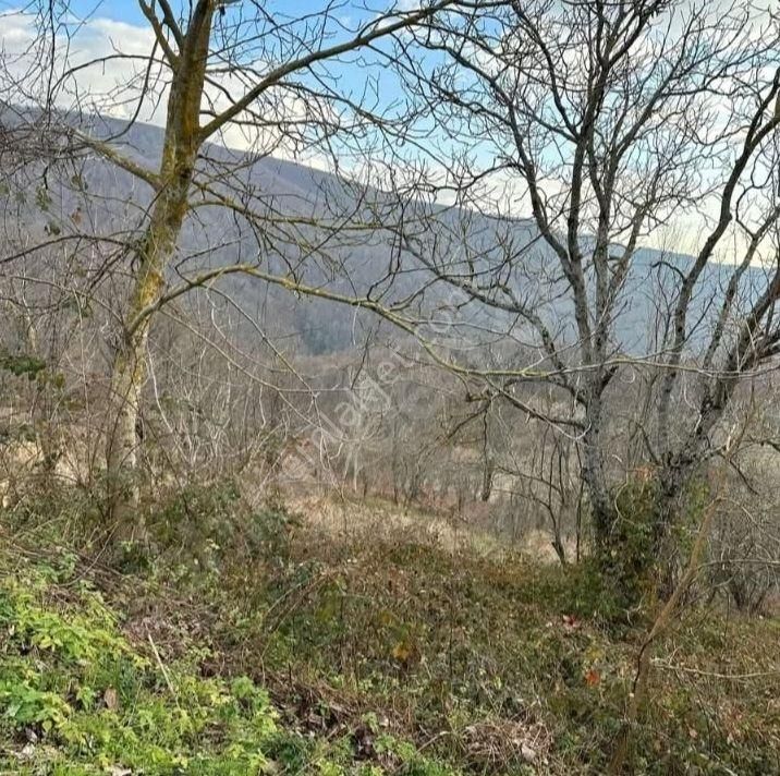 İznik Osmaniye De Konut İmarlı Arsa - Görsel 9