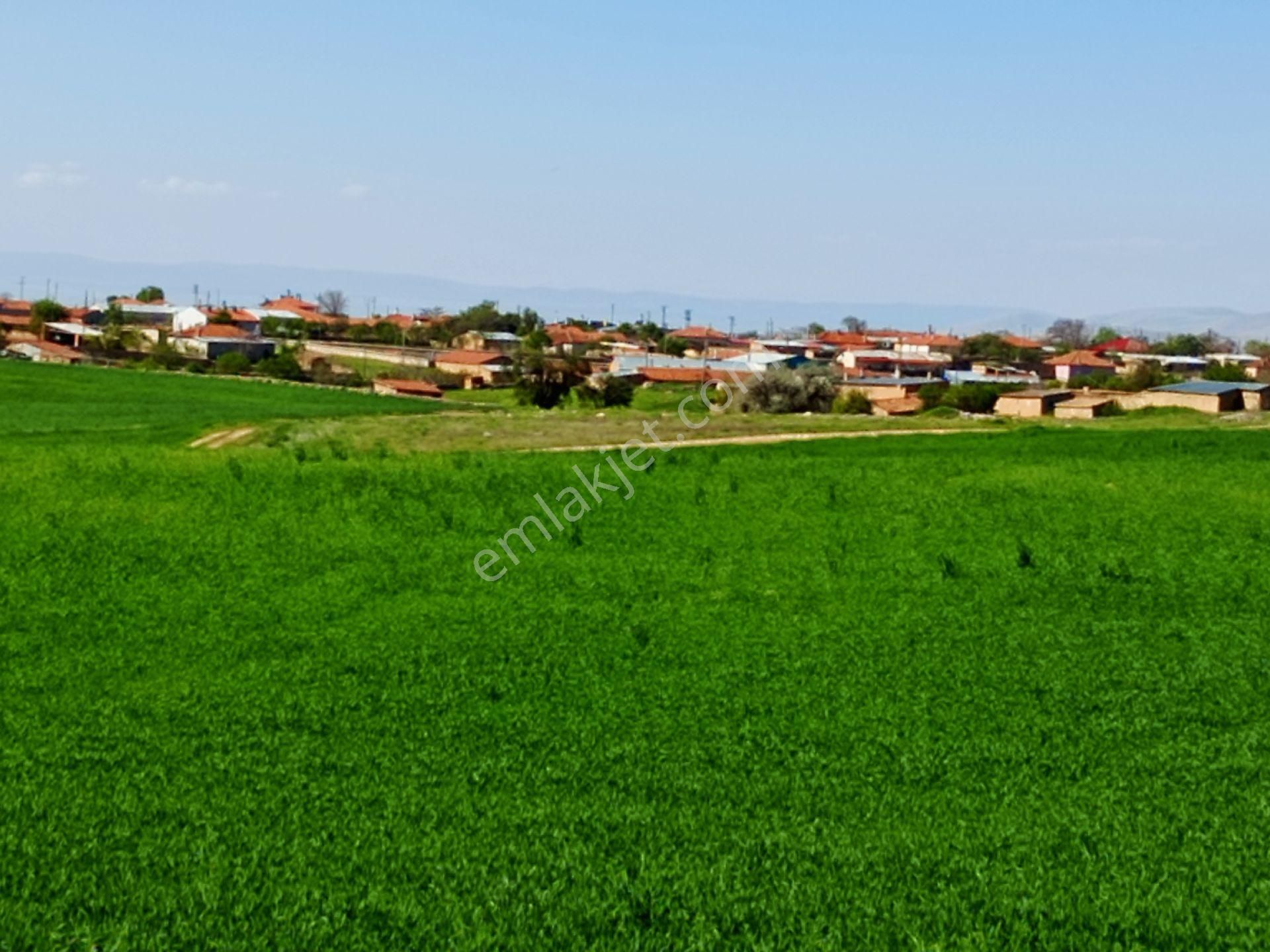 My Rkipdenbursa Karacabey Tophisarda Satılık Harika Arazi - Görsel 18