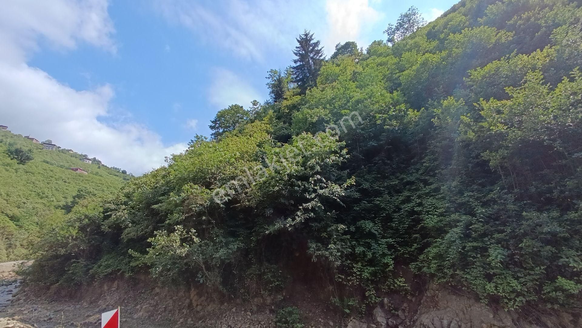 Arsin Çardaklı Mahallesin'de Satılık Arsa - Görsel 5