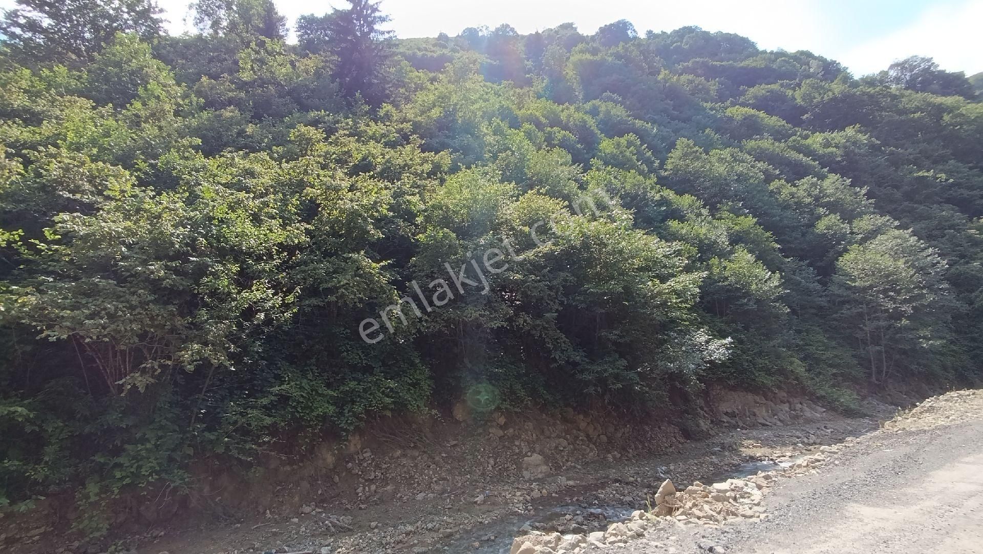 Arsin Çardaklı Mahallesin'de Satılık Arsa - Görsel 11