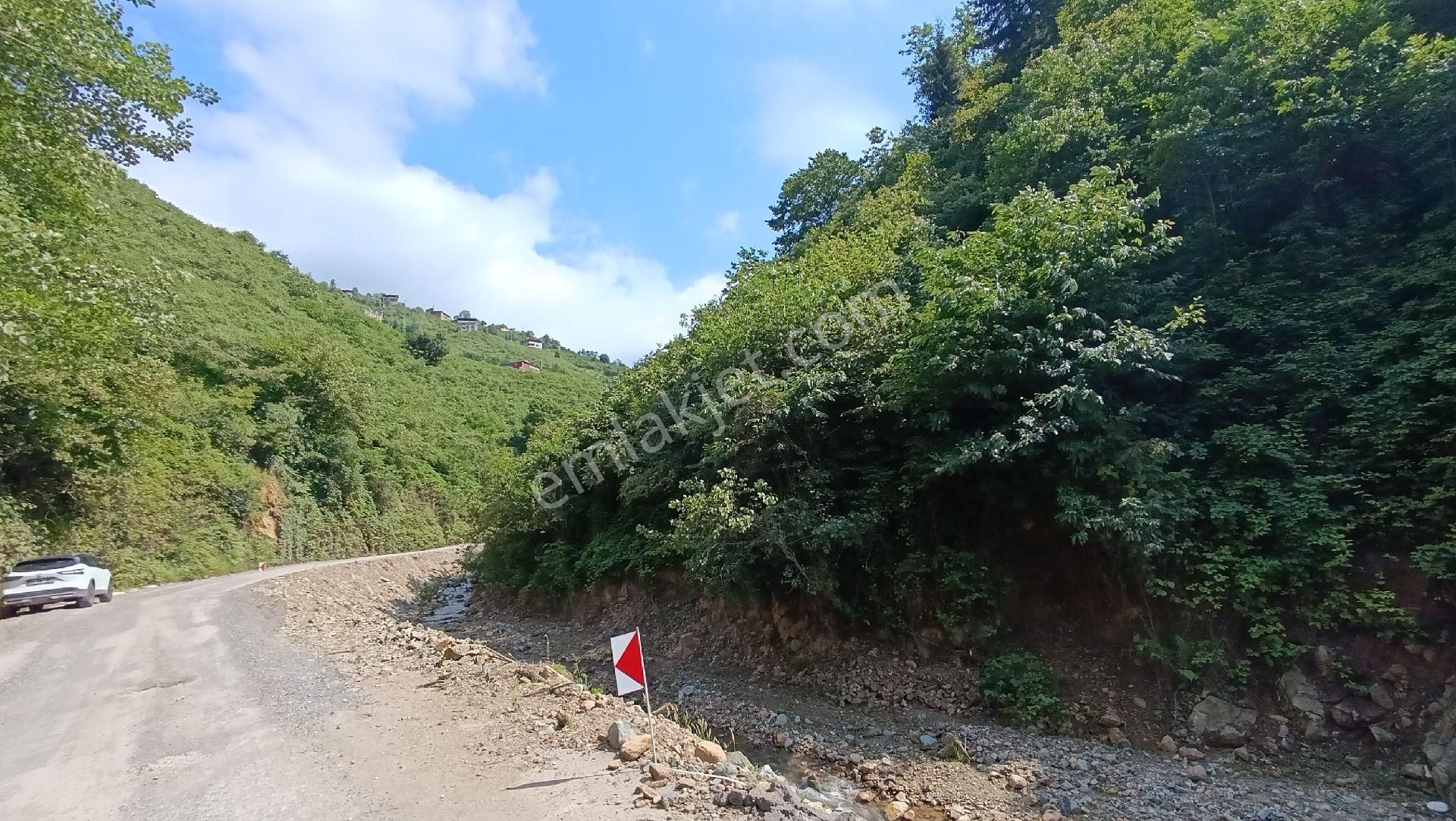 Arsin Çardaklı Mahallesin'de Satılık Arsa - Görsel 8
