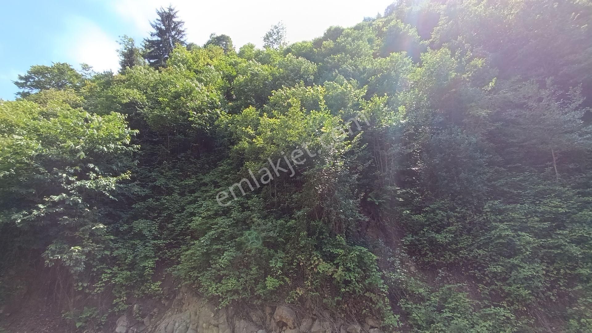 Arsin Çardaklı Mahallesin'de Satılık Arsa - Görsel 6