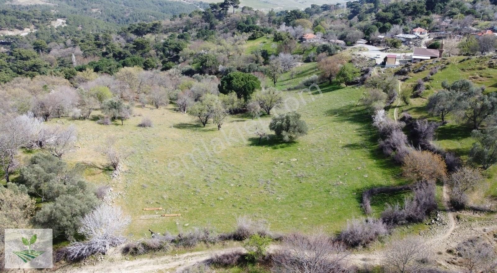 İzmir Bergama Avunduruk Satılık 1.634 M2 Konut İmarlı Arsa - Görsel 17