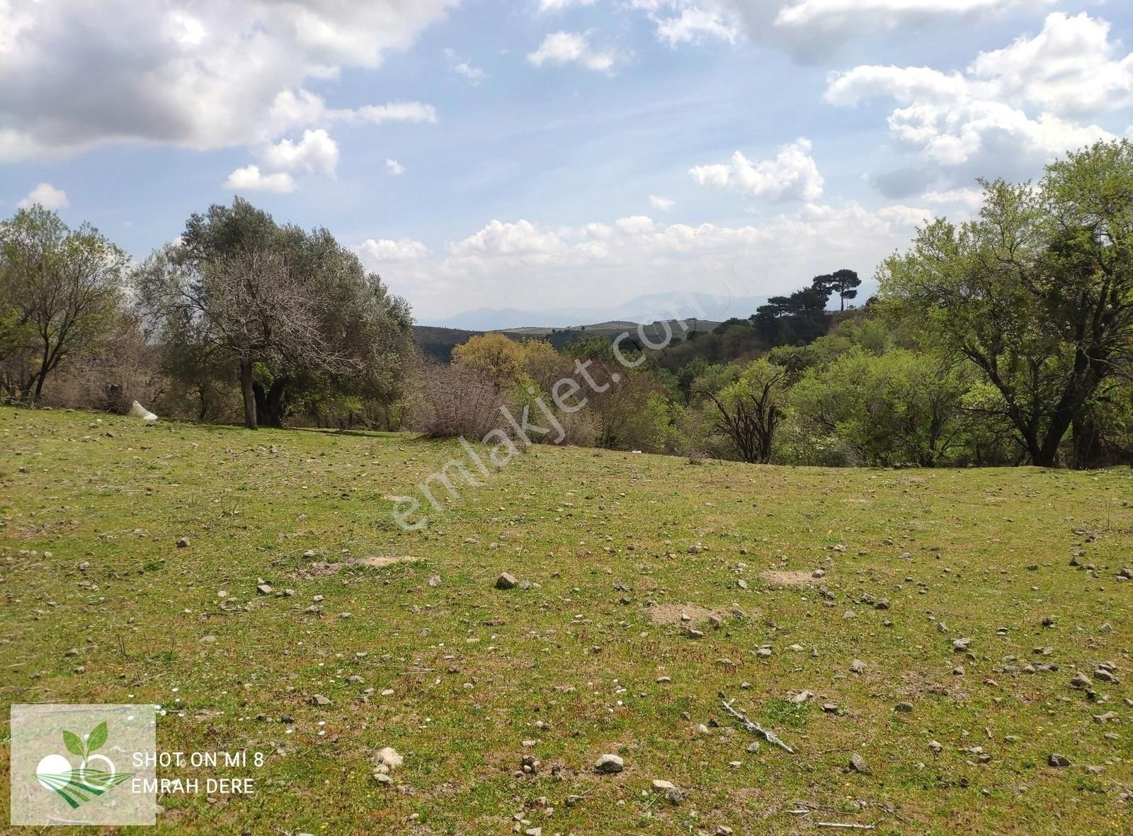 İzmir Bergama Avunduruk Satılık 1.634 M2 Konut İmarlı Arsa - Görsel 19