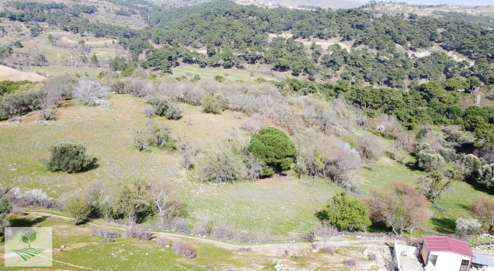 İzmir Bergama Avunduruk Satılık 1.634 M2 Konut İmarlı Arsa - Görsel 8