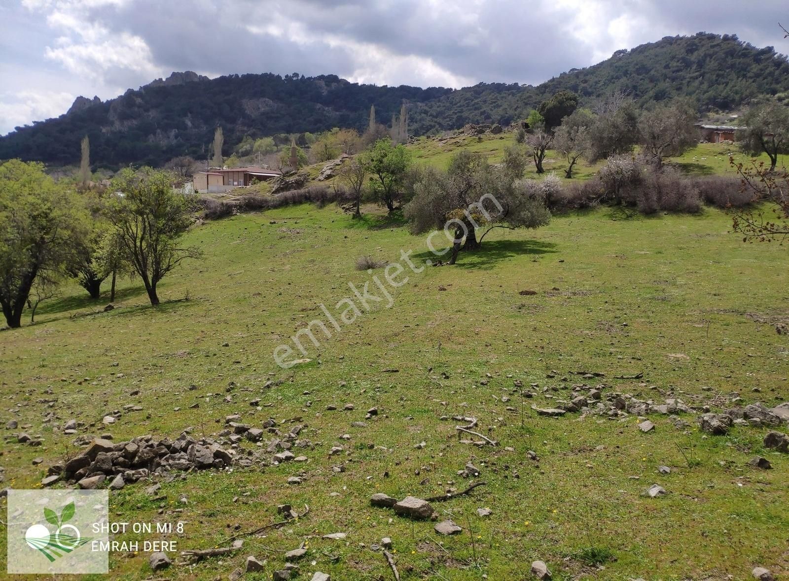 İzmir Bergama Avunduruk Satılık 1.634 M2 Konut İmarlı Arsa - Görsel 3