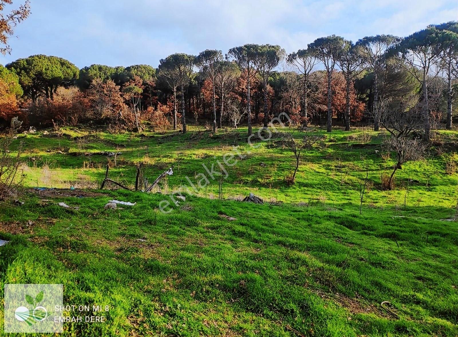 İzmir Bergama Kozak Satılık 1.257 M2 İki Kat Konut İmarlı Arsa - Görsel 22