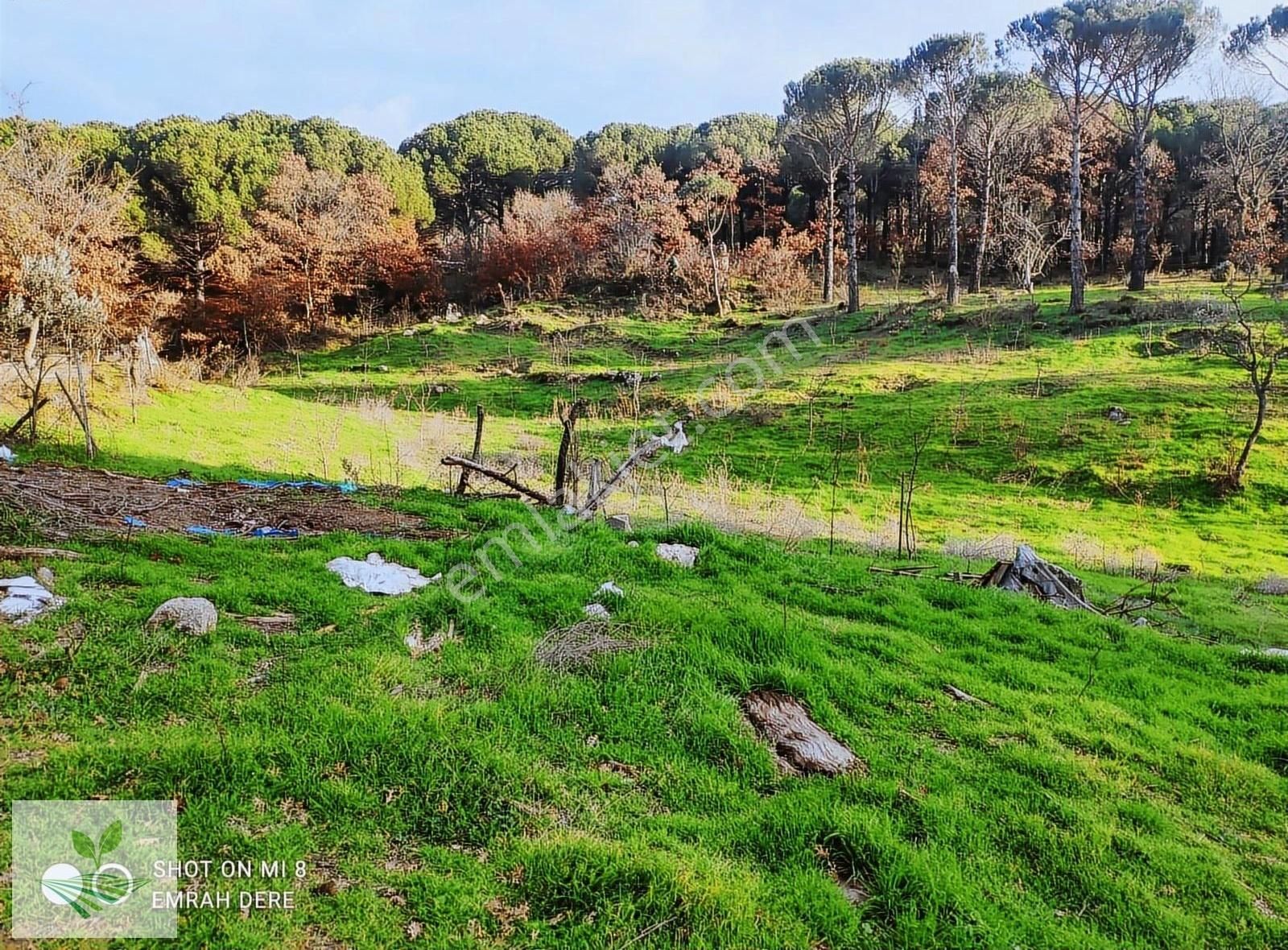 İzmir Bergama Kozak Satılık 1.257 M2 İki Kat Konut İmarlı Arsa - Görsel 10