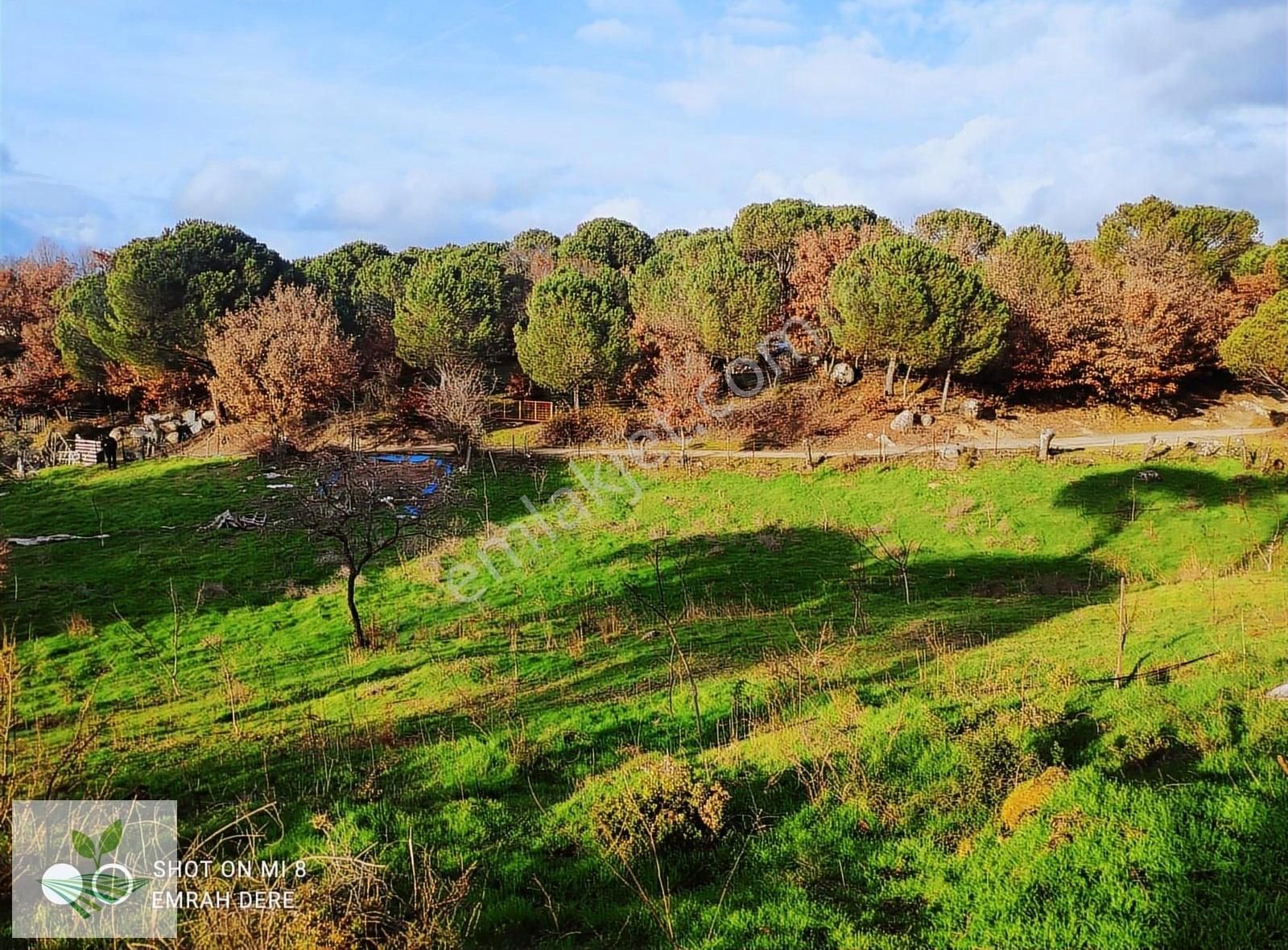 İzmir Bergama Kozak Satılık 1.257 M2 İki Kat Konut İmarlı Arsa - Görsel 3