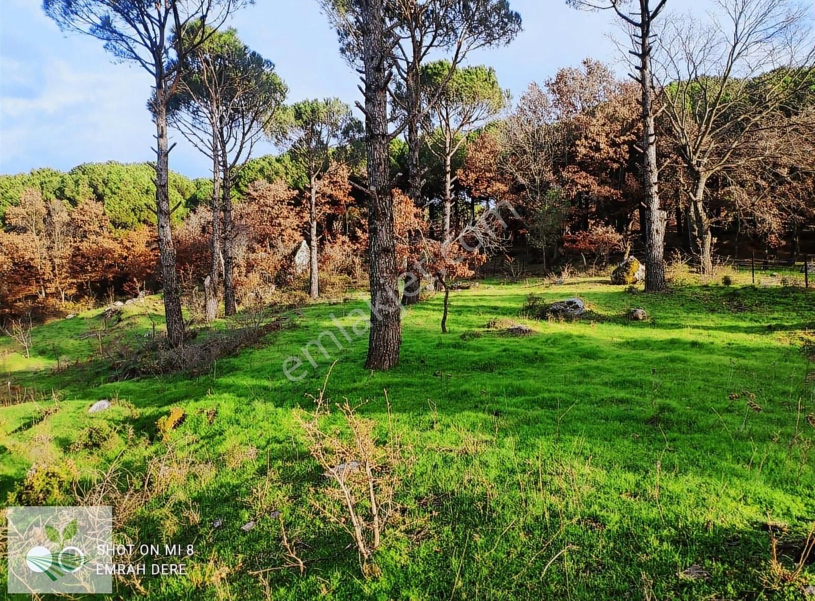 İzmir Bergama Kozak Satılık 1.257 M2 İki Kat Konut İmarlı Arsa - Görsel 26