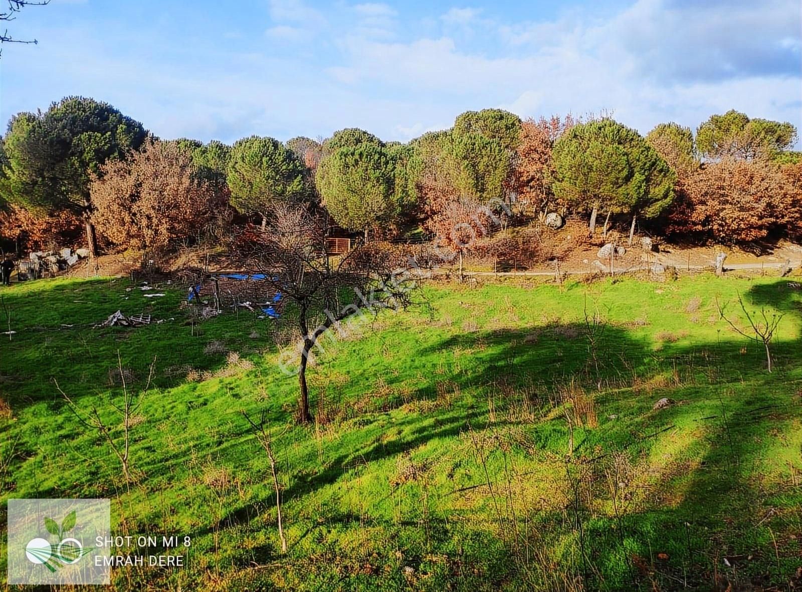 İzmir Bergama Kozak Satılık 1.257 M2 İki Kat Konut İmarlı Arsa - Görsel 30