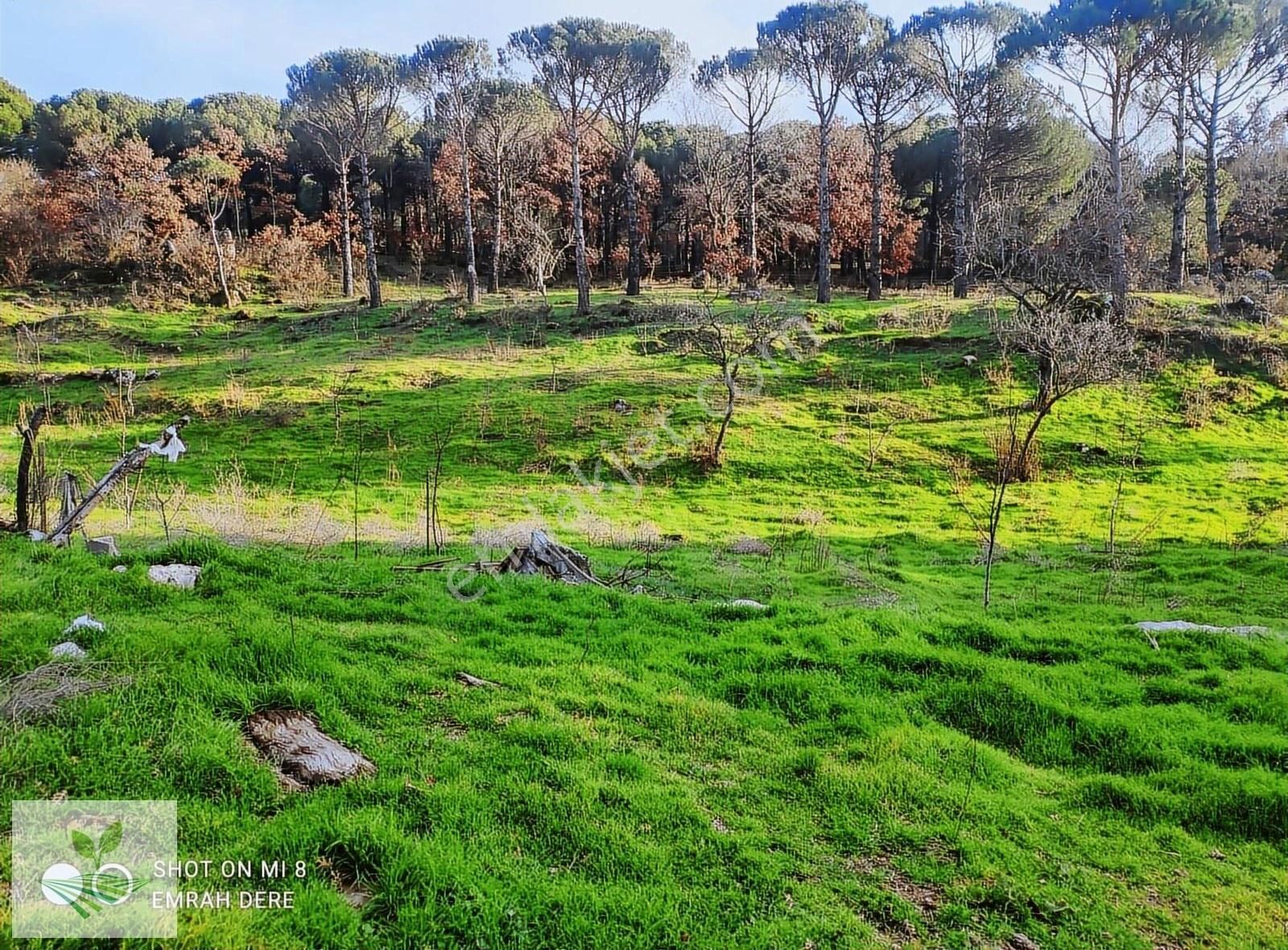 İzmir Bergama Kozak Satılık 1.257 M2 İki Kat Konut İmarlı Arsa - Görsel 31