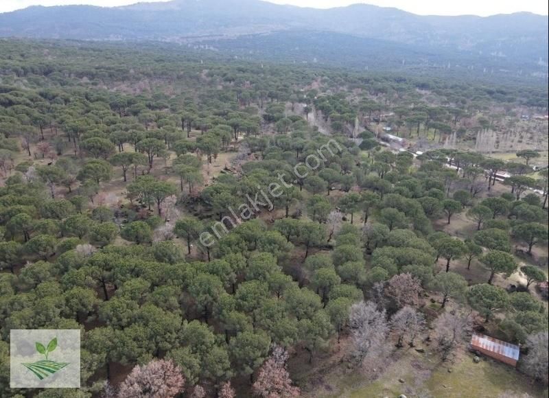 İzmir Bergama Kozak Satılık 1.257 M2 İki Kat Konut İmarlı Arsa - Görsel 14
