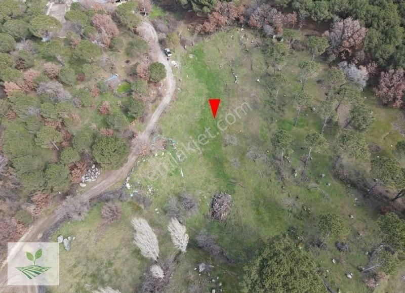 İzmir Bergama Kozak Satılık 1.257 M2 İki Kat Konut İmarlı Arsa - Görsel 21