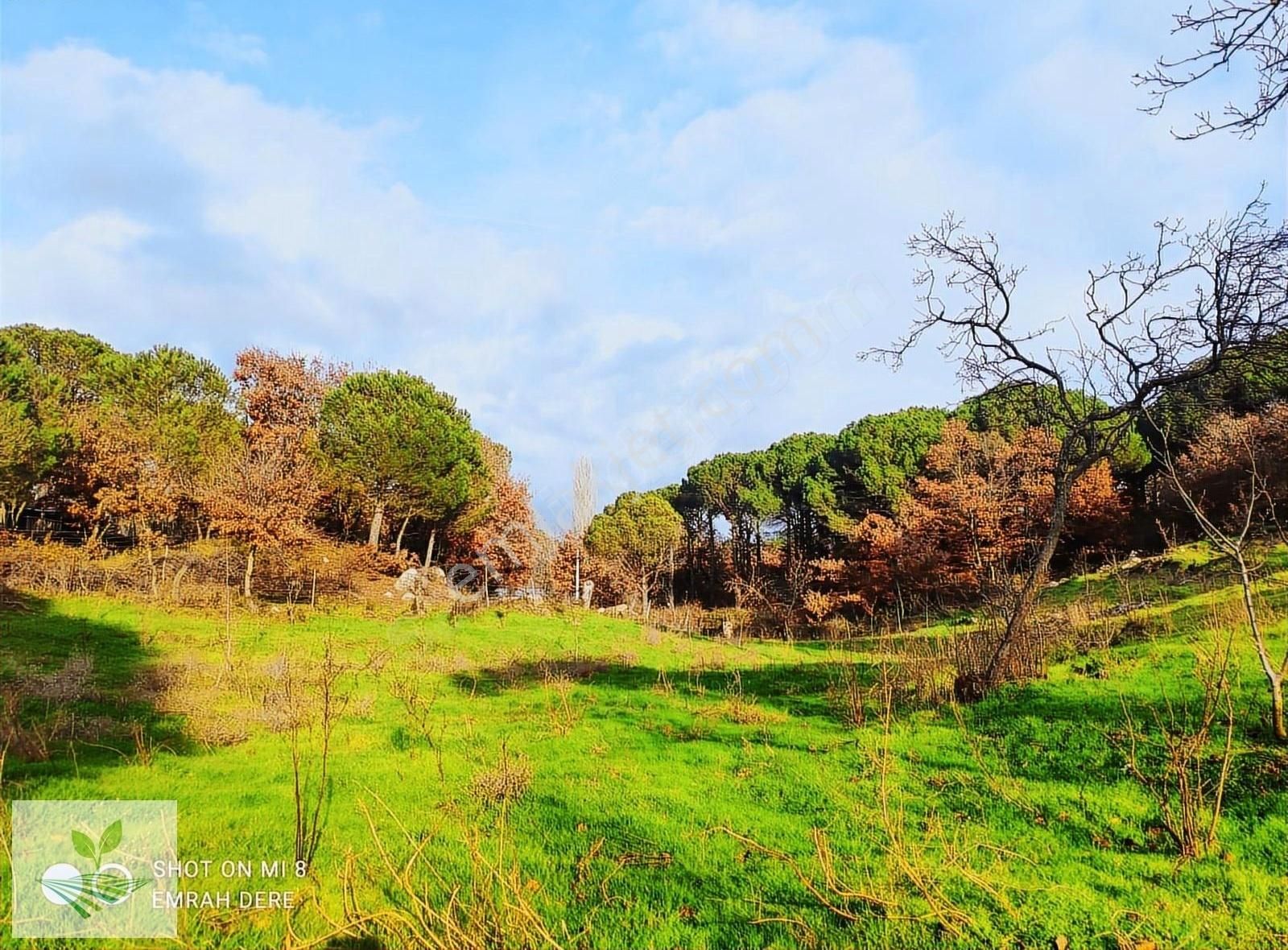 İzmir Bergama Kozak Satılık 1.257 M2 İki Kat Konut İmarlı Arsa - Görsel 16