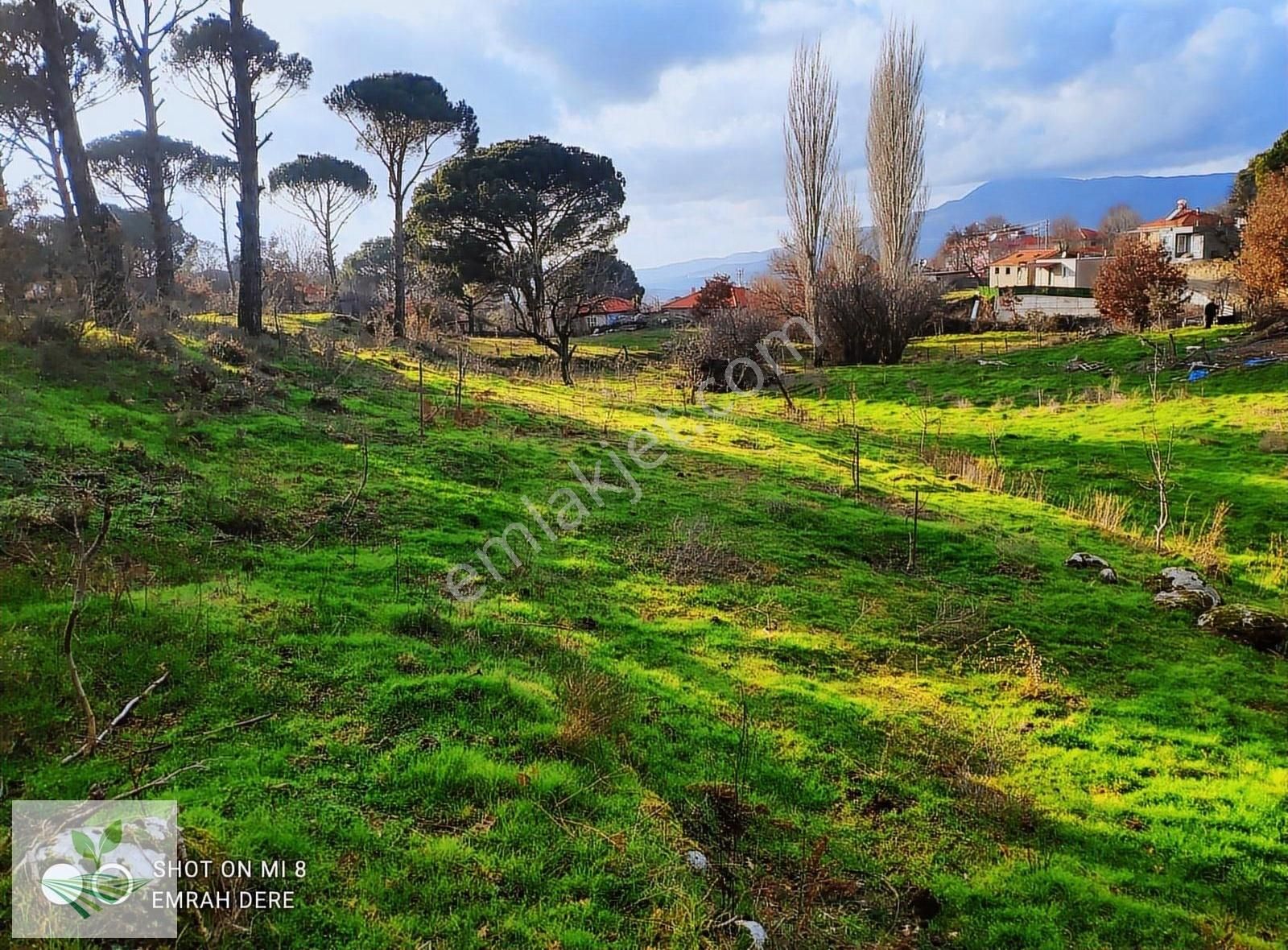 İzmir Bergama Kozak Satılık 1.257 M2 İki Kat Konut İmarlı Arsa - Görsel 32