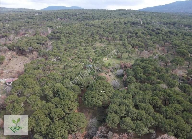 İzmir Bergama Kozak Satılık 1.257 M2 İki Kat Konut İmarlı Arsa - Görsel 20