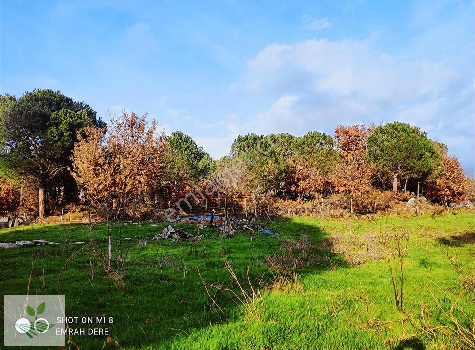 İzmir Bergama Kozak Satılık 1.257 M2 İki Kat Konut İmarlı Arsa - Görsel 4