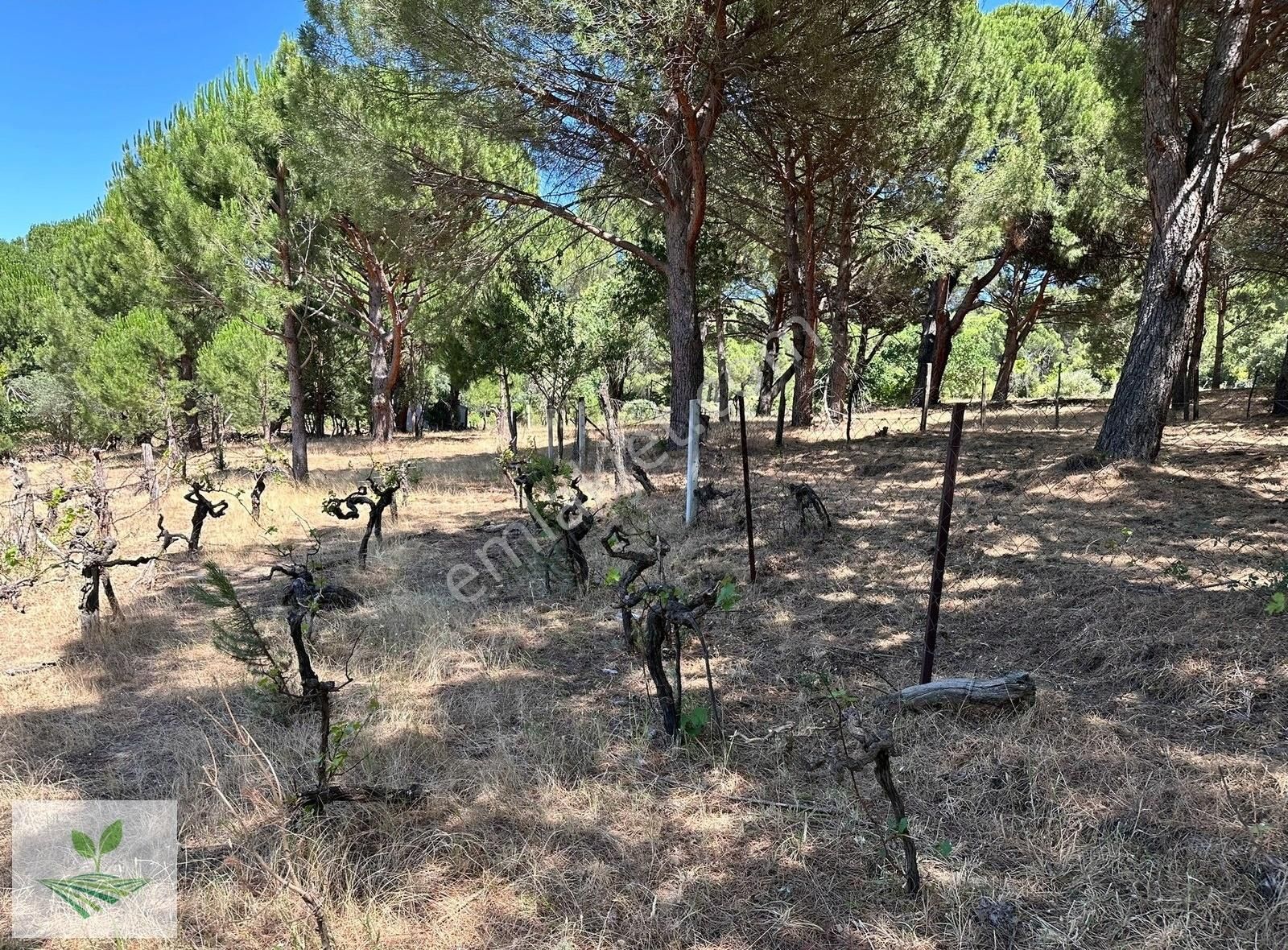 İzmir Bergama Kozak Satılık 1.485 M2 İki Kat Konut İmarlı Arsa - Görsel 5