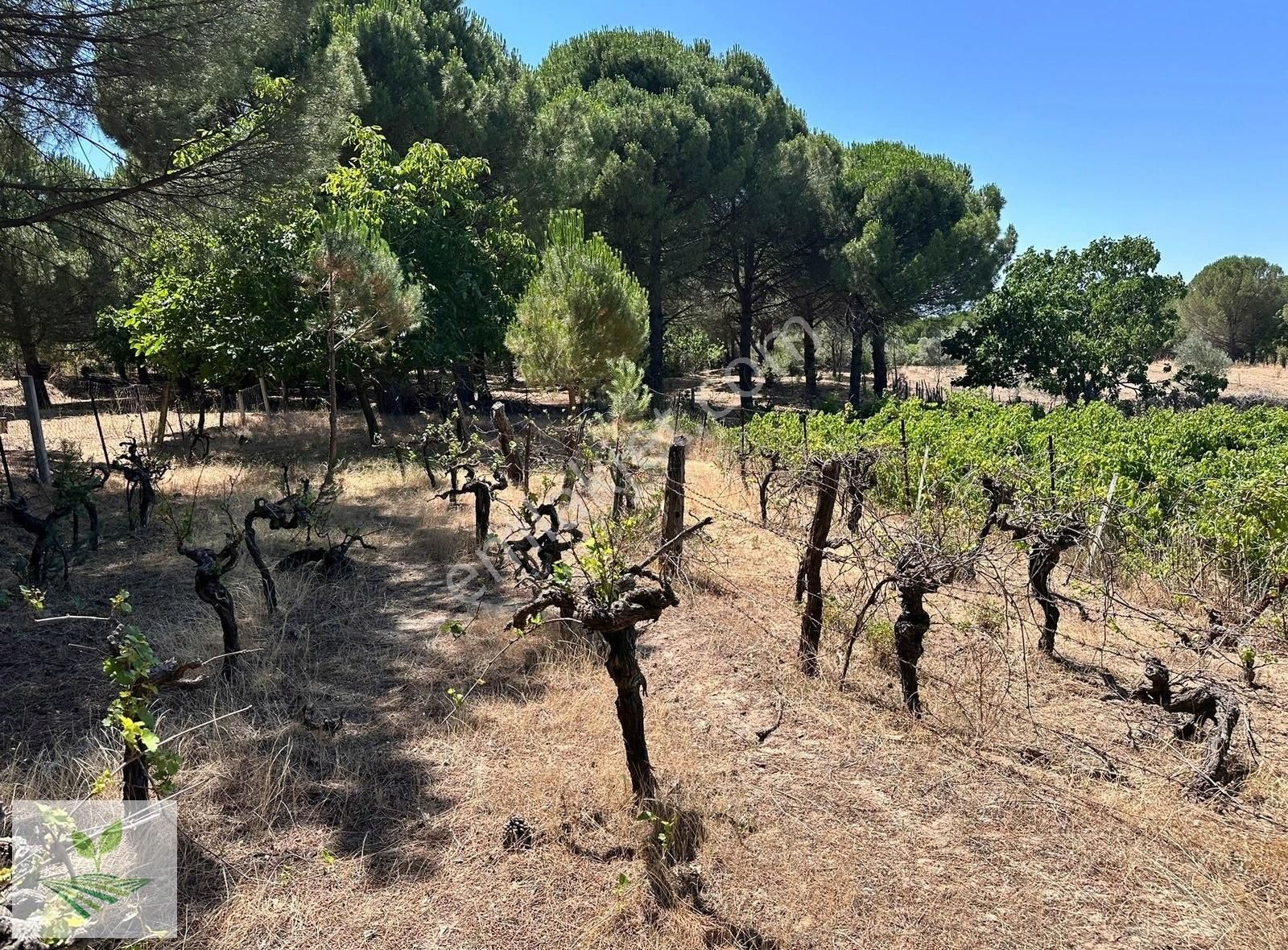 İzmir Bergama Kozak Satılık 1.485 M2 İki Kat Konut İmarlı Arsa - Görsel 4