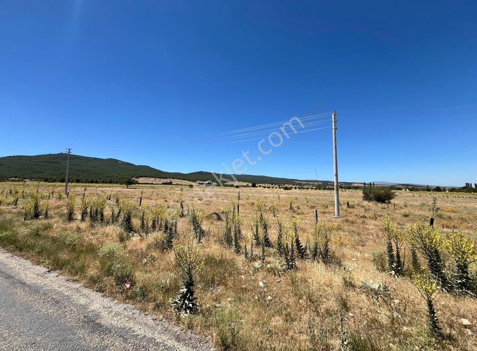 Satılık 1675 M² Arsa Sinanpaşa / Ahmetpaşa / Gölcük Karakuyu